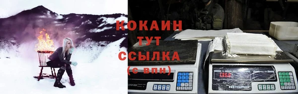 ГАЛЛЮЦИНОГЕННЫЕ ГРИБЫ Абаза