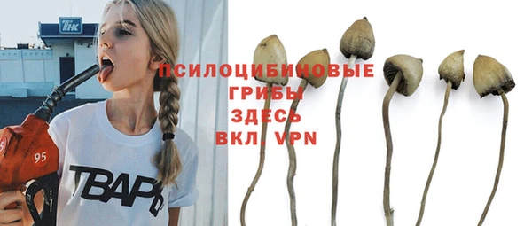 apvp Абдулино