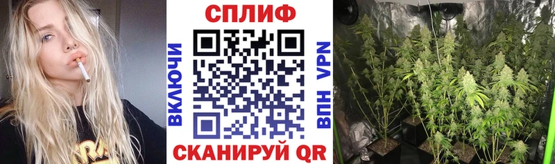 Бошки марихуана VHQ  закладки  Александровск-Сахалинский 